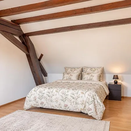 Lumineuse 90m2 Avec Ac I Cour Interieure Alsacienne, Balcon & Parking Apartment Marlenheim